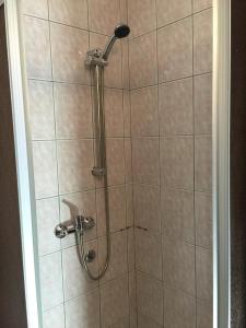 a shower with a shower head in a bathroom at Hotel Ruža in Novi Vinodolski
