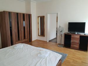 a bedroom with a bed and a flat screen tv at Waldshut-Zentrum in Waldshut-Tiengen