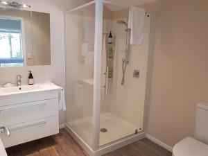 a bathroom with a shower and a sink at Centennial House Taupo in Taupo +65 photos
