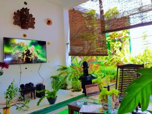 una habitación con un montón de plantas en la pared en Leisure Villa, en Colombo