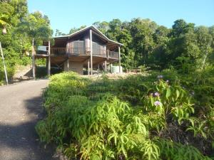 Daintree Holiday Homes - Yurara في Cow Bay: منزل على جانب تل مع النباتات