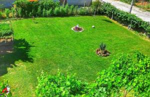 an aerial view of a green yard with plants at Guest House Dimi in Byala