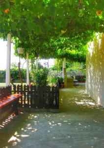 un parque con un banco bajo un árbol en Guest House Dimi, en Byala