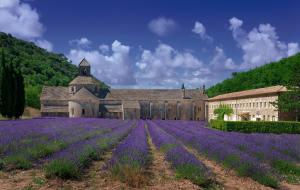 um edifício antigo num campo de flores roxas em Mas Auroma em Murs