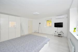 Televízia a/alebo spoločenská miestnosť v ubytovaní Pure Apartman Pécs
