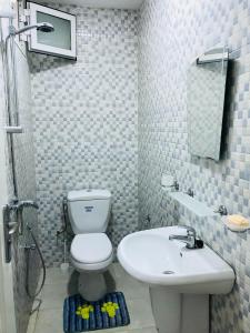uma casa de banho com um WC e um lavatório em Dwiret Hayet Kélibia em Kelibia