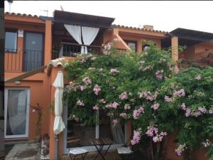 dom z drzewem z różowymi kwiatami i parasolką w obiekcie Beach apartment garden and wifi w mieście Tarifa