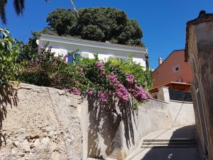 Fotografie z fotogalerie ubytování Apartman Pia v destinaci Mali Lošinj