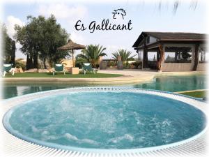 Bazén v ubytování Agroturismo Es Gallicant nebo v jeho okolí