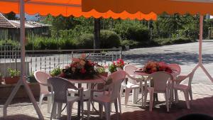 Zahrada ubytování Hotel Galles