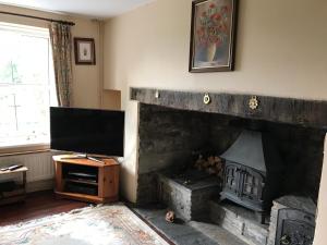 a living room with a fireplace and a flat screen tv at Pen y Crug Cottage in Llanafan-fawr
