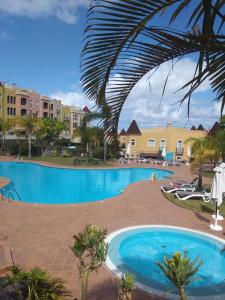 サンタ・ウルスラにあるAcogedor Tenerife Norteのヤシの木と建物が並ぶリゾートのプールを利用できます。