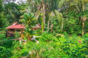 a house in the middle of a lush green forest at Hotel El Mono Feliz in Ojochal