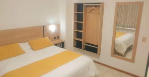 1 dormitorio con 1 cama grande y espejo en Apartamentos Mendoza en Mendoza