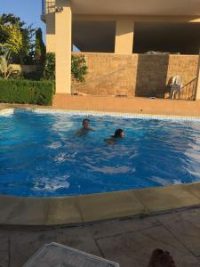 Apartment in Polis Neo Chorio في بوليس خريسوخوس: شخصين يسبحان في مسبح