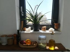 a window sill with a potted plant and a bowl of fruit at Sea Breeze Ecological Villa in Agia Galini