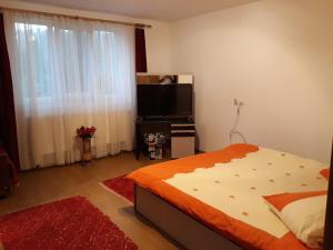 - une chambre avec un lit et une télévision à écran plat dans l'établissement Casa Geanina, à Colibiţa