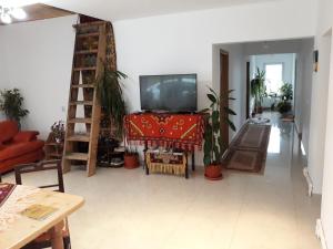 a living room with a television and a table with plants at Casa Geanina in Colibiţa