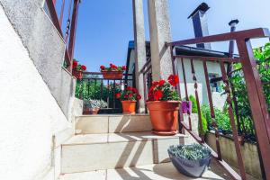 a group of potted plants sitting on a balcony at Music Time Apartment in Imotski