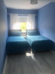 Duas camas num quarto azul com uma janela em Clarendon em Tallaght