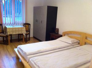 Gallery image of Vila Sport Borsec in Borsec