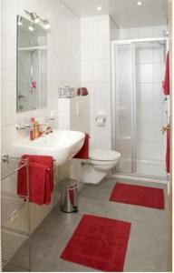 a bathroom with a sink and a toilet and a shower at Apartment Landhaus Krall in Westendorf