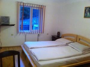 Gallery image of Vila Sport Borsec in Borsec +43 photos