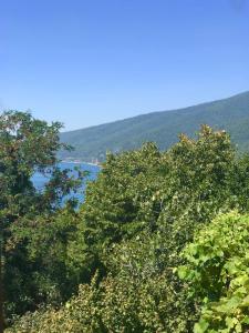 uma vista para um lago por trás de algumas árvores em Guest-house Elona em Gagra