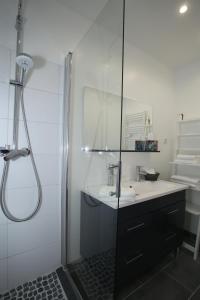 a bathroom with a shower and a sink at Manoir Le Mesnil in Saint-Martin-aux-Chartrains