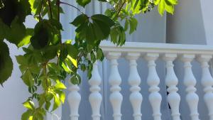 Balkon lub taras w obiekcie Rustic Holiday Home Miketa