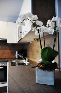 um vaso com flores brancas no balcão da cozinha em Appartement Alpenzauber em Arzl im Pitztal