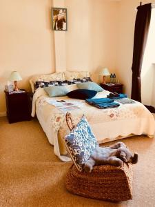 a bedroom with a bed and a chair with a dog laying on it at Treasure Box Retreat in Clifden