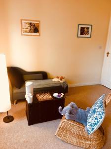a living room with a stuffed animal laying on the floor at Treasure Box Retreat in Clifden