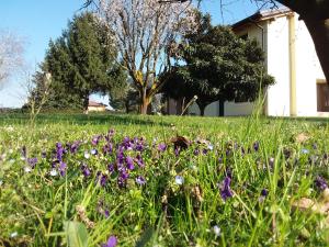 Zahrada ubytování “Al Campo”