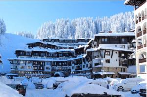 a resort in the snow with snow covered buildings at Apartment 24 in Pamporovo