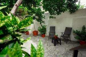 トビリシにあるHeyvanyのパティオ(椅子2脚、鉢植えの植物付)