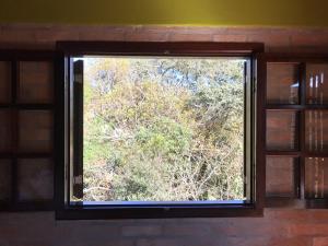 a window in a room with a tree at Chalé da Bel in Santo Antônio do Pinhal