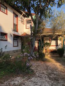 uma casa com uma árvore em frente em Pouso Realeza em Tiradentes