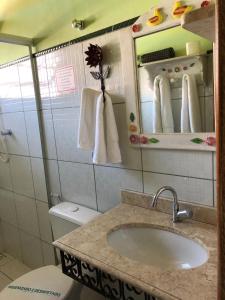 uma casa de banho com um lavatório, um WC e um espelho. em Pouso Realeza em Tiradentes