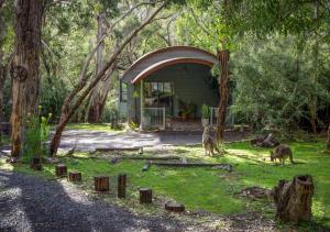 a small green house with two animals standing in the grass at A Heavenly Escape in Halls Gap