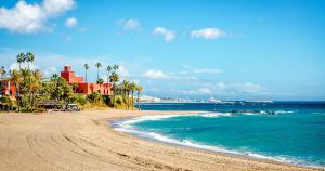 piaszczystą plażę z palmami i oceanem w obiekcie Apartament Benalmadena Puerto Marina w mieście Benalmádena