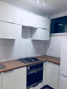 Kuchyň nebo kuchyňský kout v ubytování Apartament Katowice Centrum