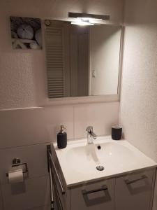 a bathroom with a sink and a mirror at Ferienwohnung TREIBGUT in Uhldingen-Mühlhofen +13 photos