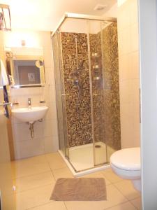 een badkamer met een douche, een toilet en een wastafel bij apartmán Oblík - penzion Kilián in Kvilda