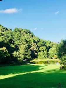 um exuberante campo verde com uma ponte e árvores em Westfield Farm em Balgowan