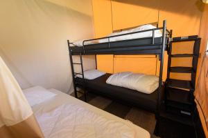 Pokój z 2 łóżkami piętrowymi i drabiną w obiekcie Boerderij Halfweg w mieście West-Terschelling
