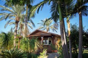 Gallery image of Naomi's place הבית של נעמי in Moshav Ramot