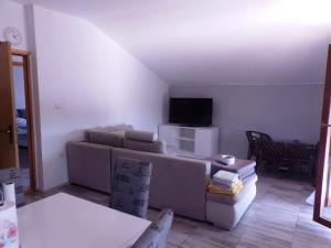 een woonkamer met een bank en een tv bij Apartment Tonka in Zaton