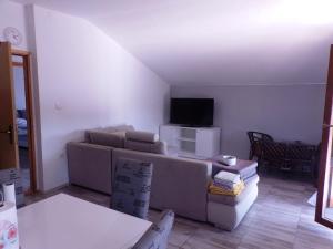 a living room with a couch and a tv at Apartment Tonka in Zaton