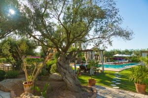 Bazén v ubytování Can Arabí - Adults Only nebo v jeho okolí